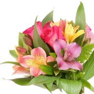 Flowers and Bouquets
