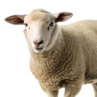Farming and Agriculture
